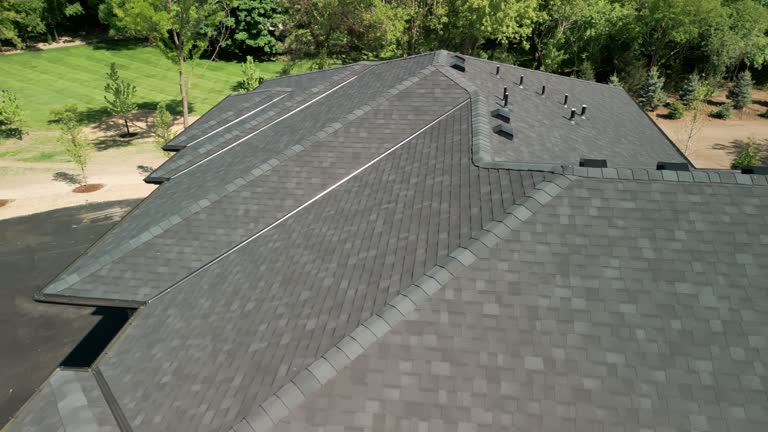 Best Skylight Installation and Repair  in Stockton, IL