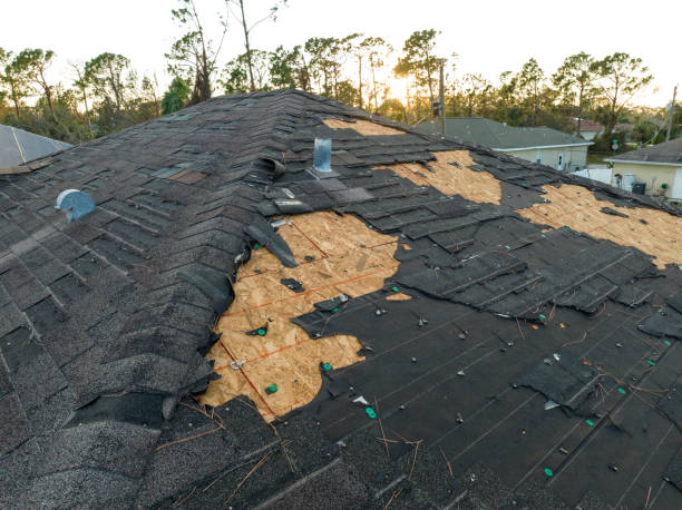 Best Roof Insulation Installation  in Stockton, IL