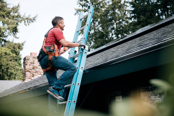 Best Metal Roofing Installation  in Stockton, IL